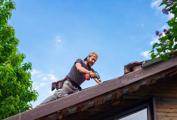 Best Emergency Roof Repair Services  in Munford, TN