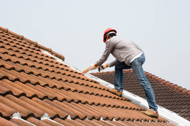 Best Roof Maintenance  in Munford, TN