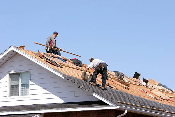 Best Roof Ventilation Installation  in Munford, TN