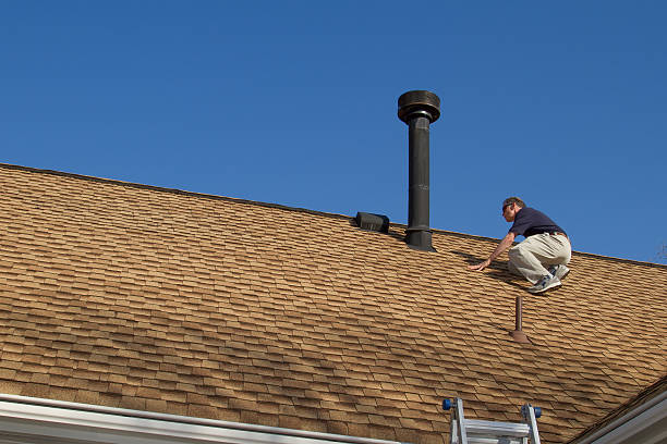 Best Roof Moss and Algae Removal  in Munford, TN
